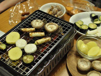 Galvanized Steel BBQ Grill Mesh (Disposable Charcoal Grill)