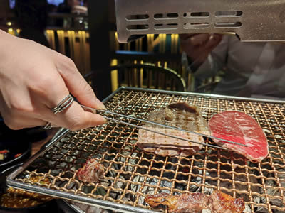 Copper Barbecue Grill Mesh